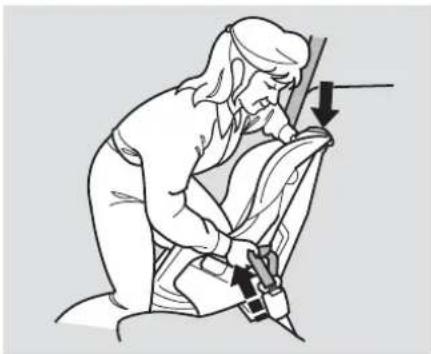 Acura TL (2006) - Installing a Child Seat with a Lap/Shoulder Belt - 3