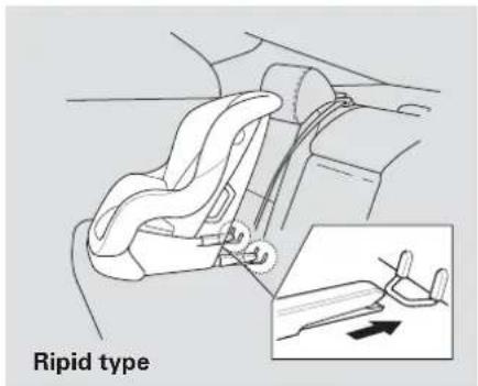 Ripid type