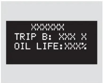 XXXXXX TRIP B: XXX X OIL LIFE:XXXX%