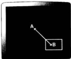 A B