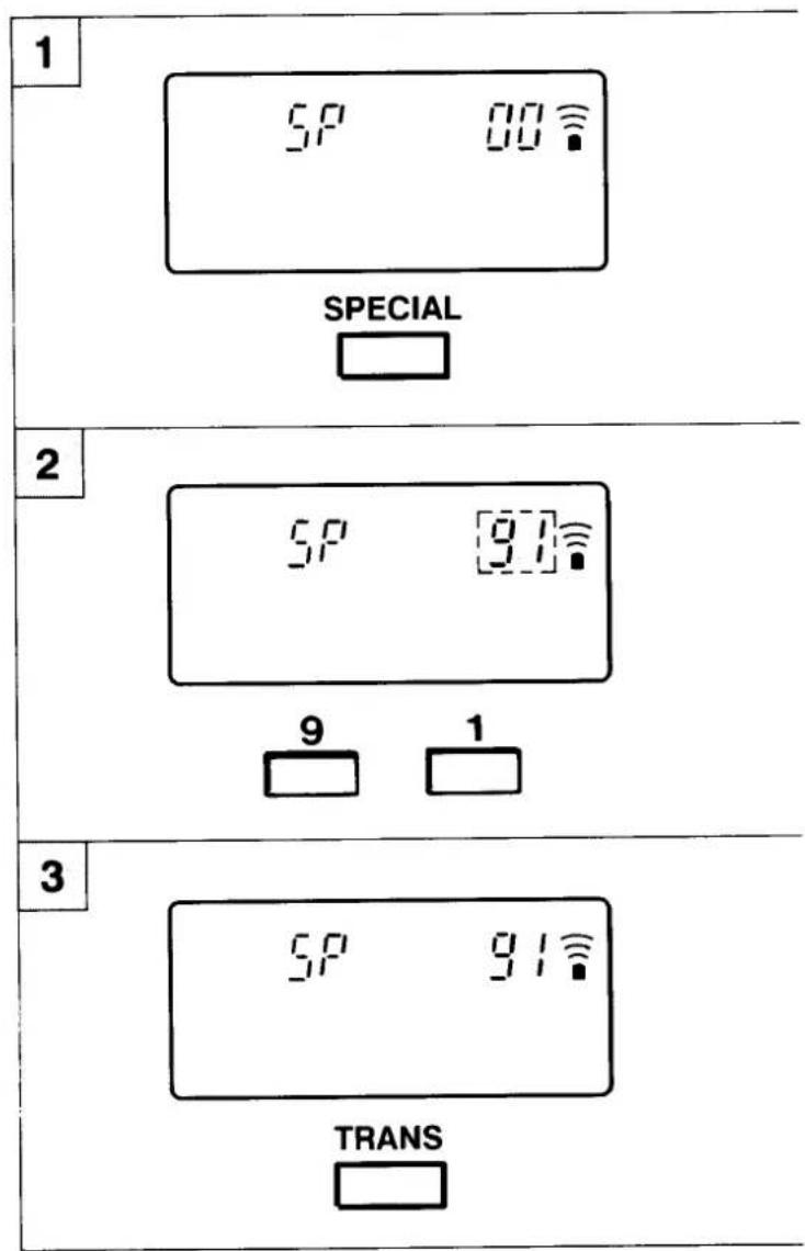 1 SP 00 SPECIAL 2 SP 91 9 1 3 SP 91 TRANS