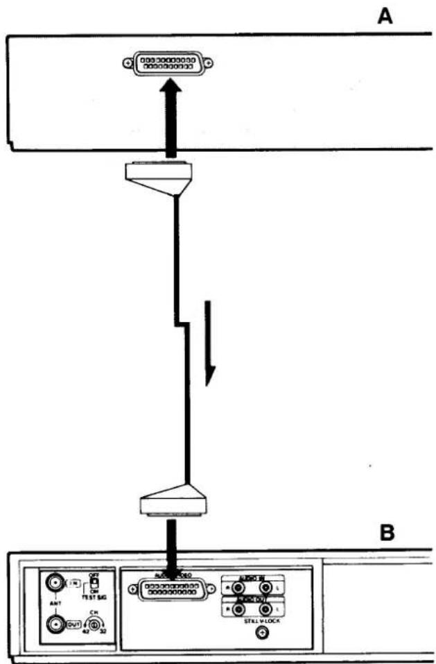 A B