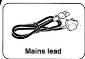 Mains lead