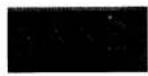 SANYO VHR-289E - ENDLESS PLAY - 1
