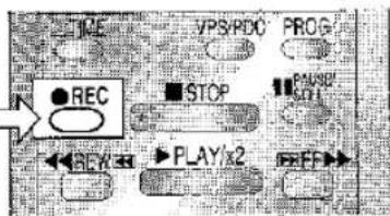 TIME VPS/PRO PROG ● REC ■ STOP PLAY/x2 REY PLAY/x2 OFF