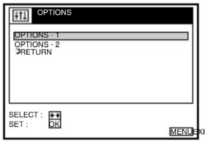 OPTIONS OPTIONS - 1 OPTIONS - 2 RETURN SELECT : + + SET : OK MENU
