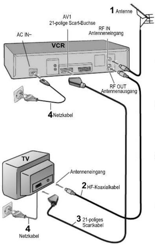 1 Antenne AV1 21-polige Scart-Buchse RF IN Antenneneingang AC IN~ VCR 4 Netzkabel RF OUT Antennenausgang TV Antenneneingang 2 HF-Koaxialkabel 3 21-poliges Scartkabel 4 Netzkabel