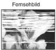 PANASONIC NV-SJ260 - Wenn das Bild verrauscht und nicht klar zu sehen ist (Spurlageregelung): - 1