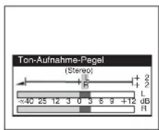 Ton-Aufnahme-Pagel (Stereo) + 2 L -40 25 12 3 0 5 5 9 +12 dB R