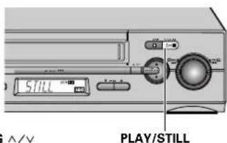 SILL PLAY/Still