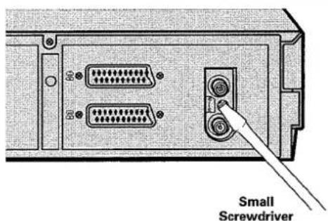 Small Screwdriver