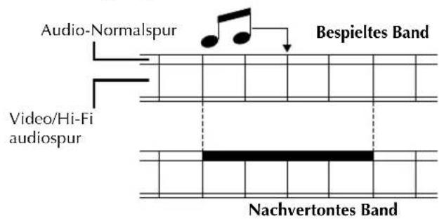 Audio-Normalspur Bespieltes Band Video/Hi-Fi audiospur Nachvertontes Band