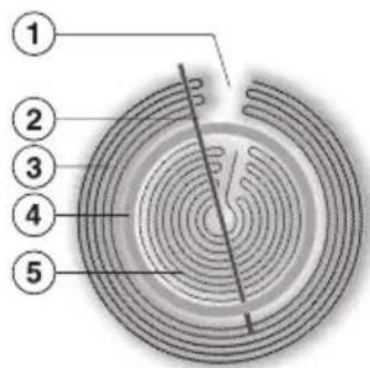 MIELE H2260E - Zweikreis-Kochzone - 1