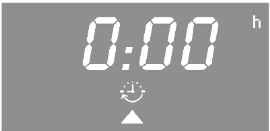 0:00 h +