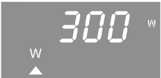 300 W W