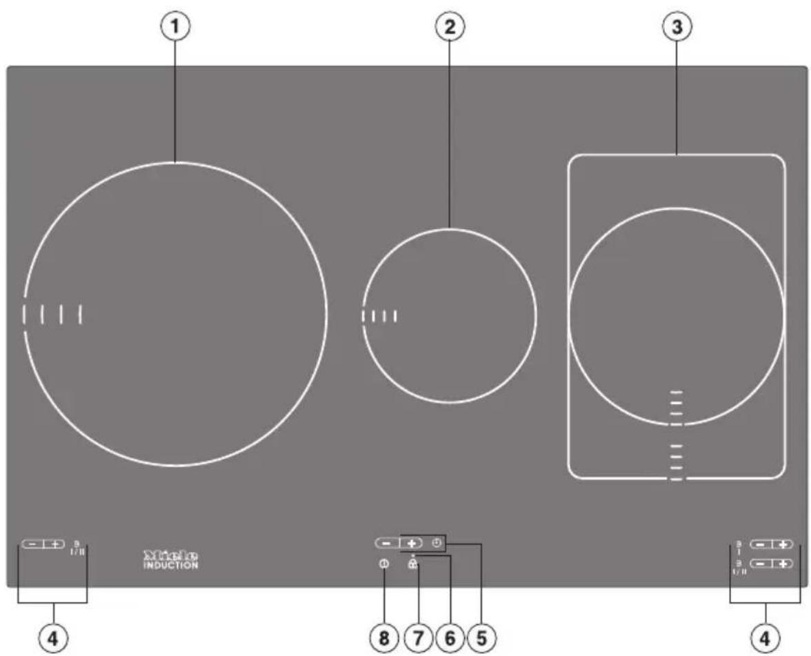 ① ② ③ ④ Molecular INDUCTION ⑧ ⑦ ⑥ ⑤ ④