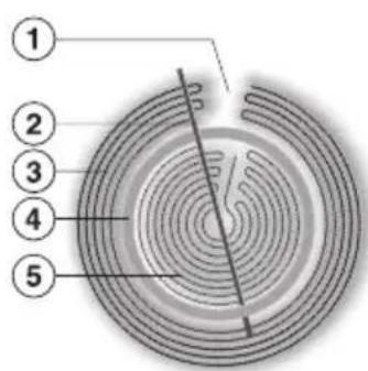 MIELE km 5821 - Zweikreis-Kochzone - 1