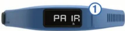 PA IR 1