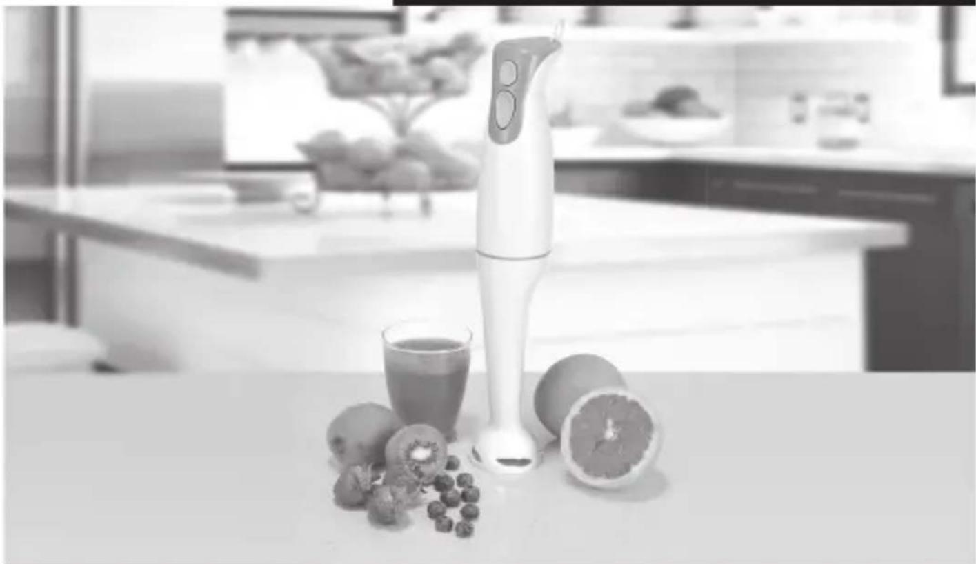Superior XB980 - Stabmixer mit Wandhalterung - 1