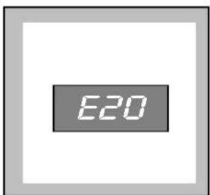 E20