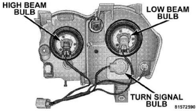 HIGH BEAM BULB LOW BEAM BULB TURN SIGNAL BULB 81572590