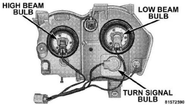 HIGH BEAM BULB LOW BEAM BULB TURN SIGNAL BULB 81572590