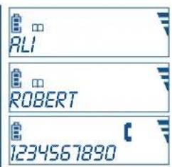 ALI ROBERT 1234567890