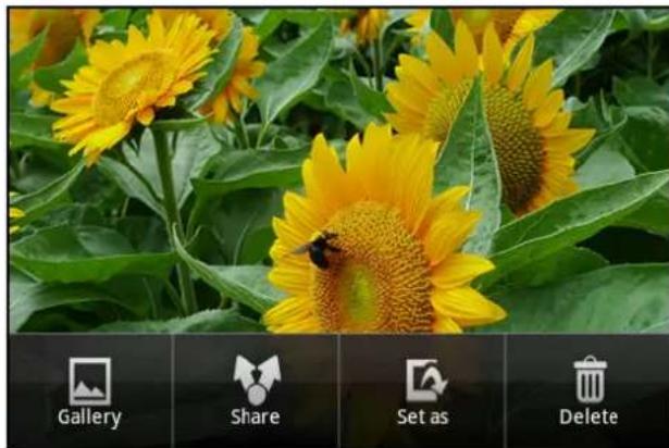 VIEWSONIC V350 - Fotos betrachten - 1