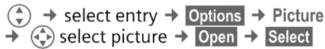 SIEMENS A62 - Assign picture - 1