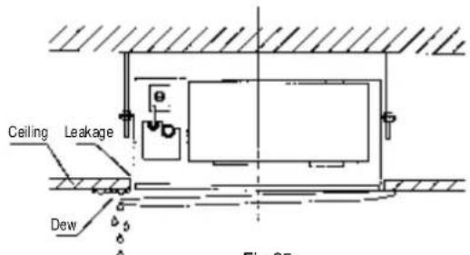Ceiling Leakage Dew Fig. 25