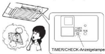 TIMER/CHECK-Anzeigelampe