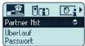 Partner Nst UberLauf Password