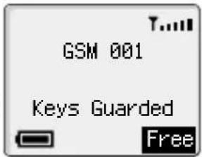 GSM 001 Keys Guarded Free