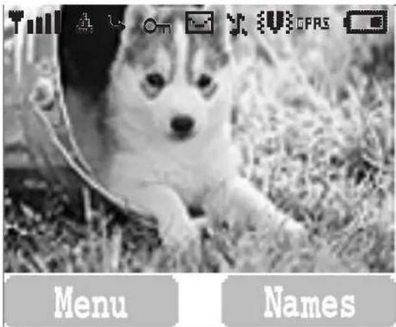Menu Names