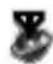 PANASONIC EB-VS3 - Online status icons - 1