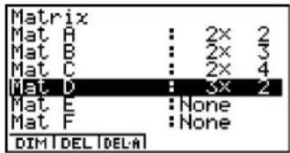 CASIO Algebra FX 1.0 Plus - - Löschen von Matrizen - 1