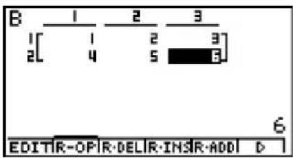 CASIO Algebra FX 1.0 Plus - - Matrixeingabe - 3
