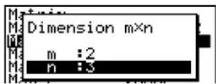 CASIO Algebra FX 1.0 Plus - - Festlegung der Dimensionen (Typ) einer Matrix - 5