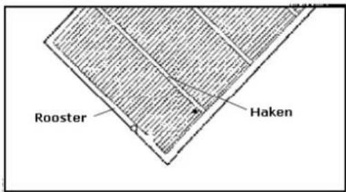 Rooster Haken