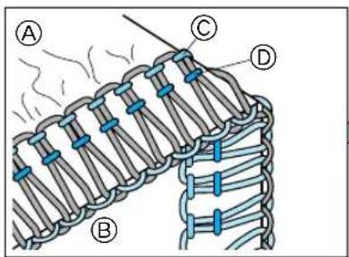 Diagram of a DNA strand with labeled components A, B, C, and D, showing structural details and loops.