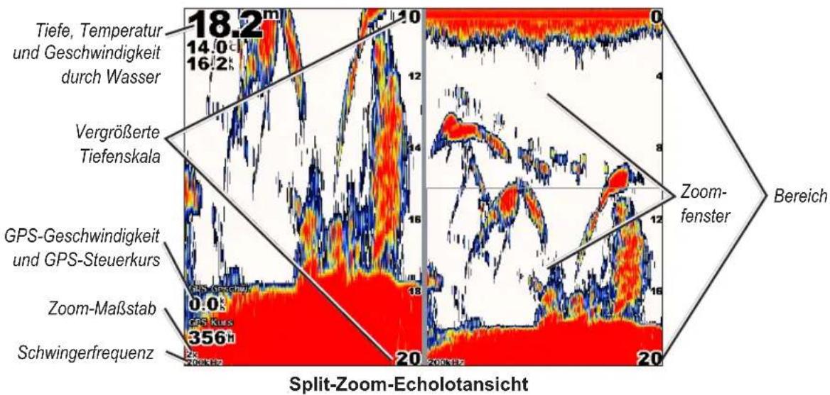 GARMIN GPSMAP 6000 - Split-Zoom-Echolotansicht - 1