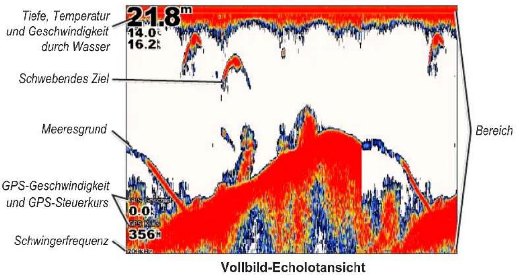 GARMIN GPSMAP 6000 - Vollbild-Echolotansicht - 1