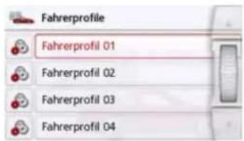 Fahrerprofile Fahrerprofil 01 Fahrerprofil 02 Fahrerprofil 03 Fahrerprofil 04