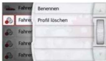 Fahrer Benennen Fahrer Profit löschen Fahrer