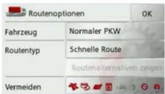 Routenoptionen OK Fahrzeug Normaler PKW Routentyp Schnelle Route Routenaflattmatisen zeigen Vermeiden