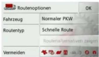 Routenoptionen OK Fahrzeug Normaler PKW Routentyp Schnelle Route Routenaftermativen zeigim Vermeiden