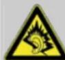 BECKER Traffic Assist Z 100 Crocodile - ⚠️ Danger! - 1