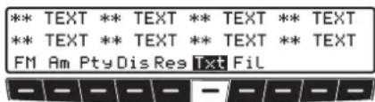 ** TEXT ** TEXT ** TEXT ** TEXT ** TEXT ** TEXT ** TEXT ** TEXT FM Am Pty Dis Res Txt Fil
