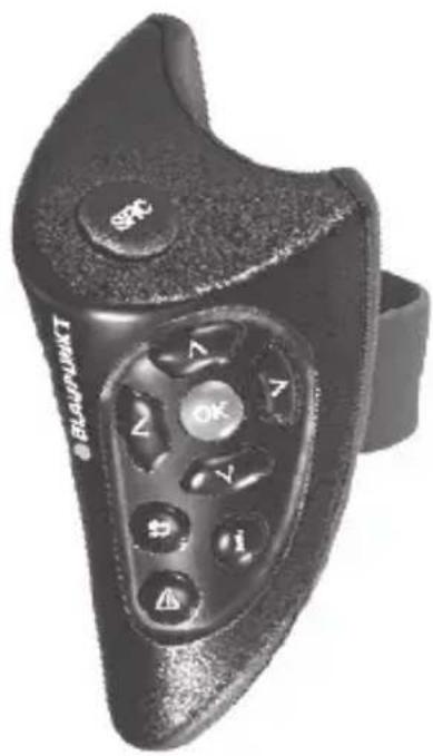 BLAUPUNKT Travelpilot Lucca II MP3 - Lenkrad-Fernbedienung RC 09 - 1