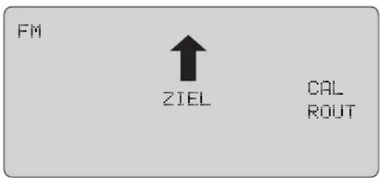FM ZIEL CAL ROUT